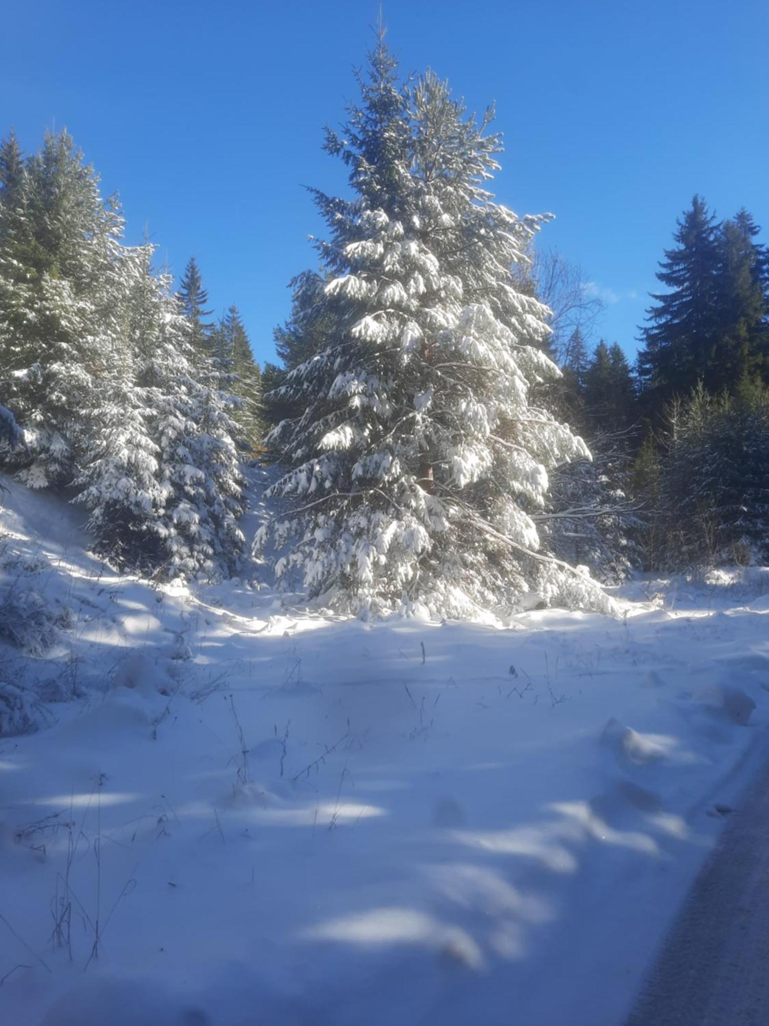 Семеен Хотел Кристал Smolyan Exterior foto